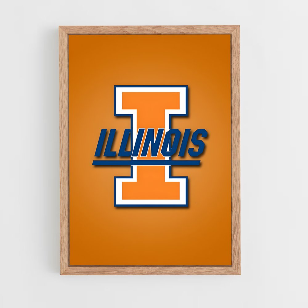Poster Illini Wildcat Dreams – affiche Basketball (vue 4)